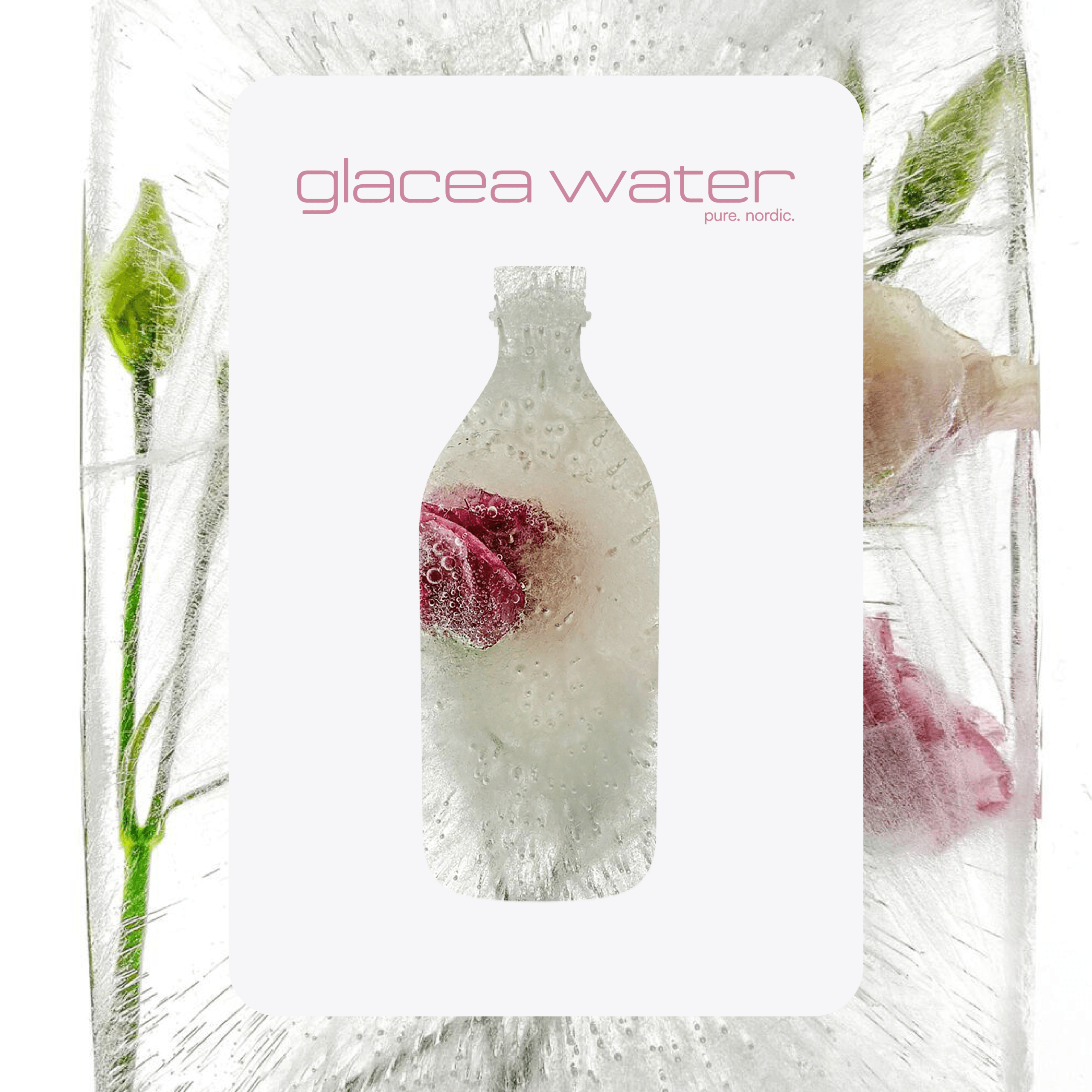 glacea