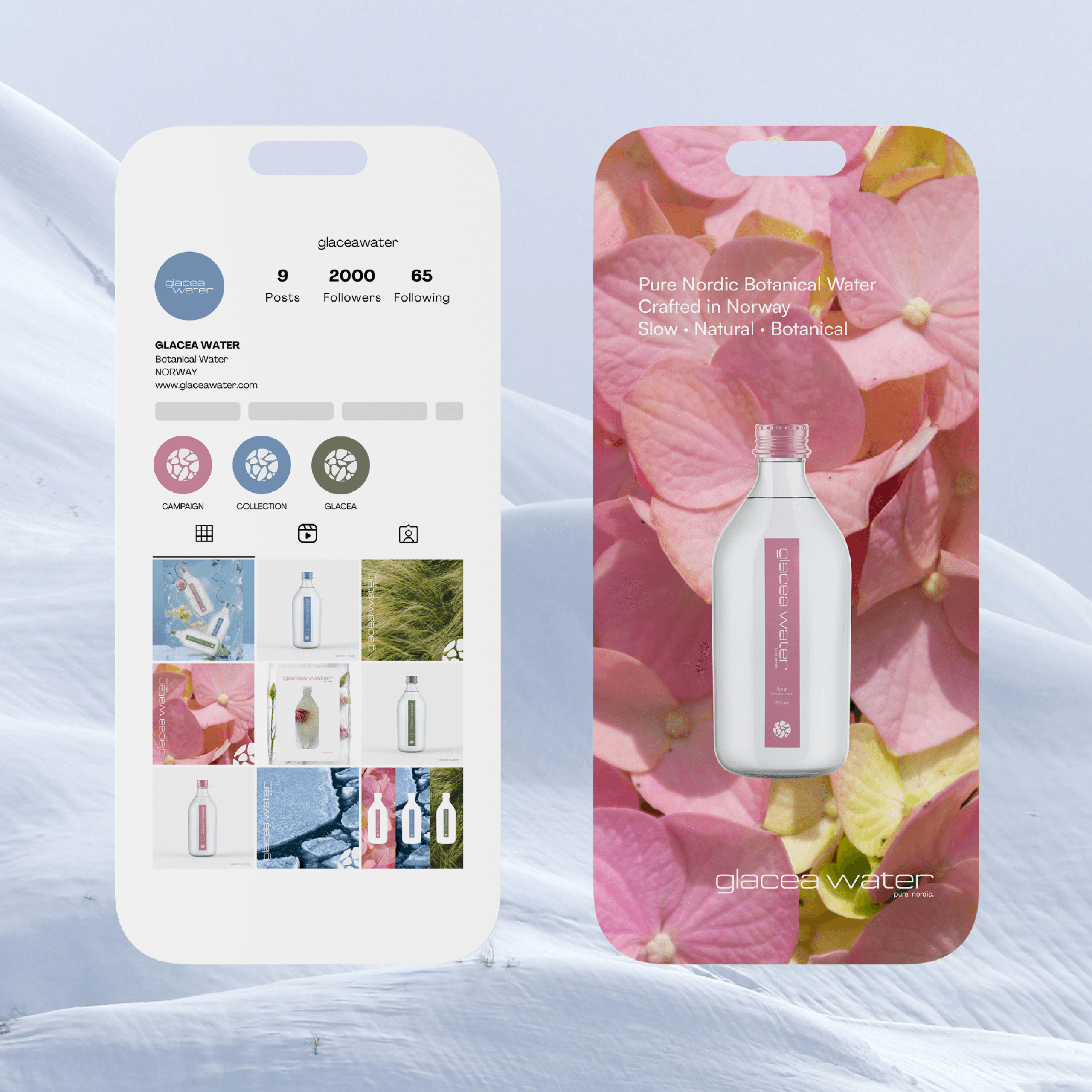 img 1 bloom&co projet copy (4)-02